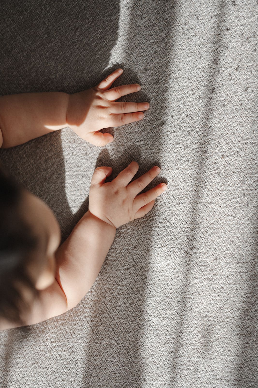 Melbourne baby photographer - white salt photography